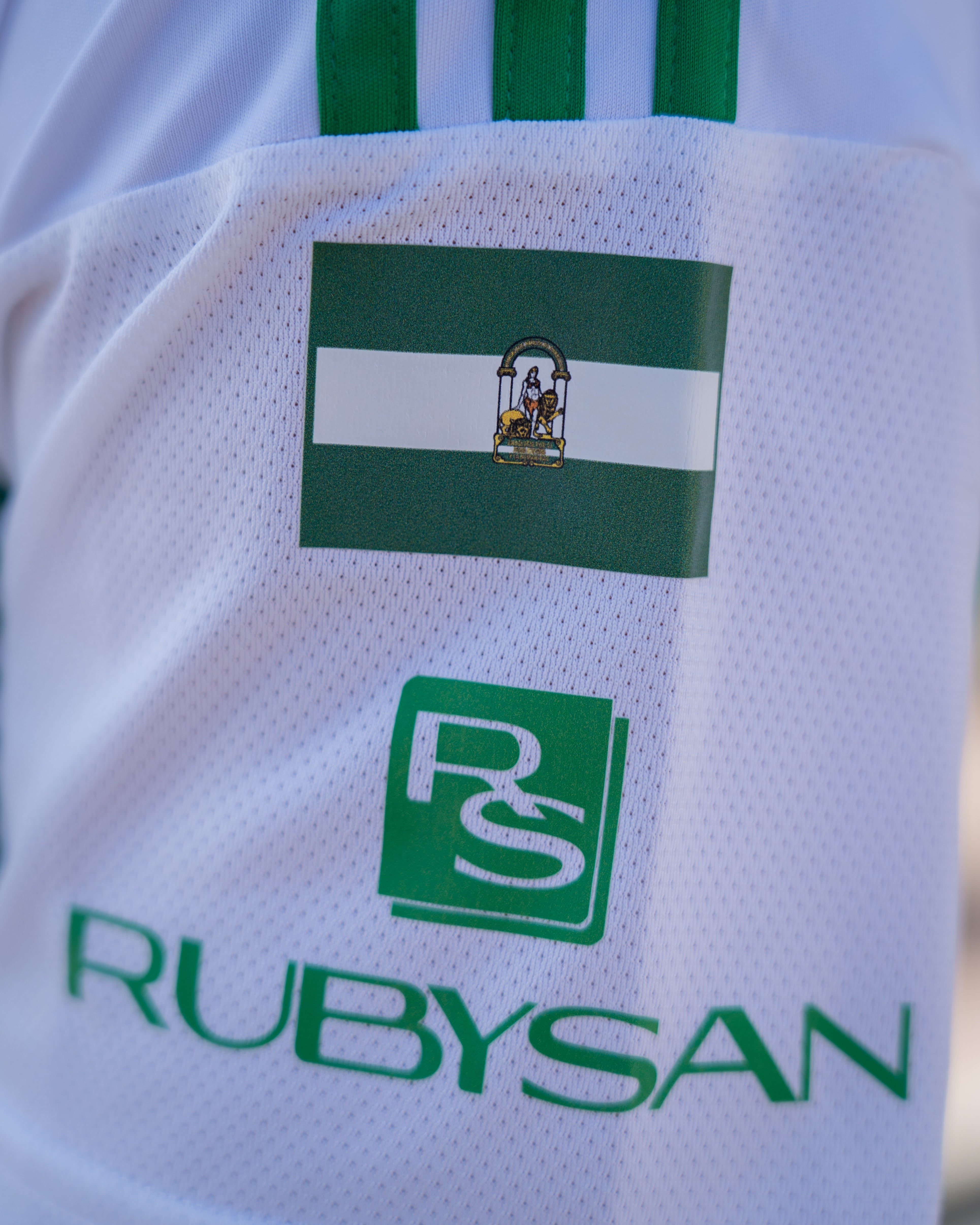 CAMISETA ALTERNATIVA JUNIOR 25/26